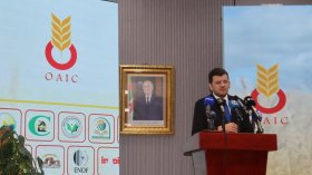 إجراءات غير مسبوقة لتطوير قطاع الحبوب في الجزائر