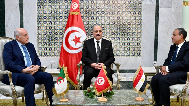 الجزائر ومصر وتونس تبدي استعدادها للتشاور مع مختلف الأطراف الليبية الفاعلة