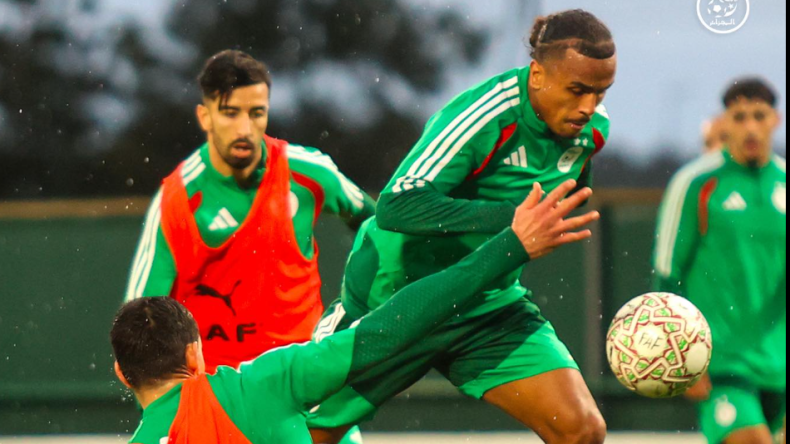 بالفيديو.. “الخضر” يواصلون تحضيراتهم تحسبا لمواجهة الكونغو الديمقراطية