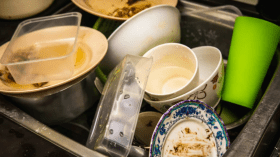 هذا ما يحدث عند نقع الأطباق في الحوض ليلا؟