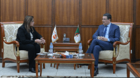 لقاء جزائري-أممي لبحث دعم صحة الأم والمرأة