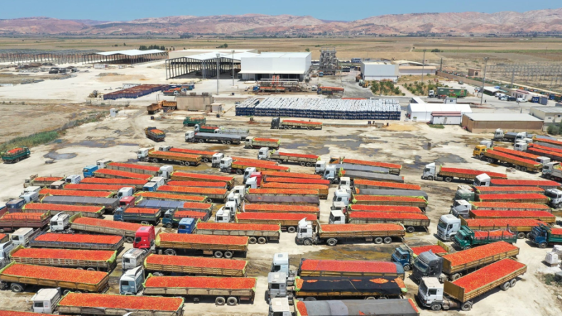 إطلاق قطب مُخصص للصناعات التحويلية الغذائية بولاية عين الدفلى