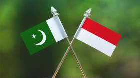 رويترز: باكستان وإندونيسيا تقتربان من إبرام صفقة دفاعية