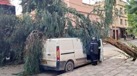 مختصون يقرؤون نفسية “اللامبالاة” عند الخطر لدى البعض