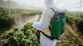 هذه تفاصيل التوجه نحو تقليص المبيدات الكيميائية واعتماد الفلاحة الإيكولوجية