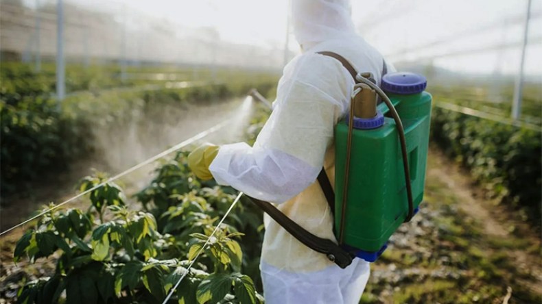 هذه تفاصيل التوجه نحو تقليص المبيدات الكيميائية واعتماد الفلاحة الإيكولوجية
