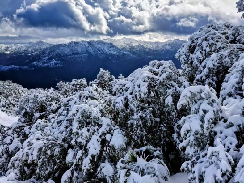 Chutes de neiges attendues dès samedi sur plusieurs wilayas