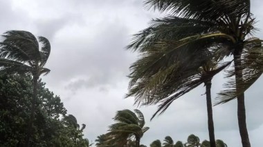 Des vents forts continueront de souffler jusqu’à vendredi sur plusieurs wilayas