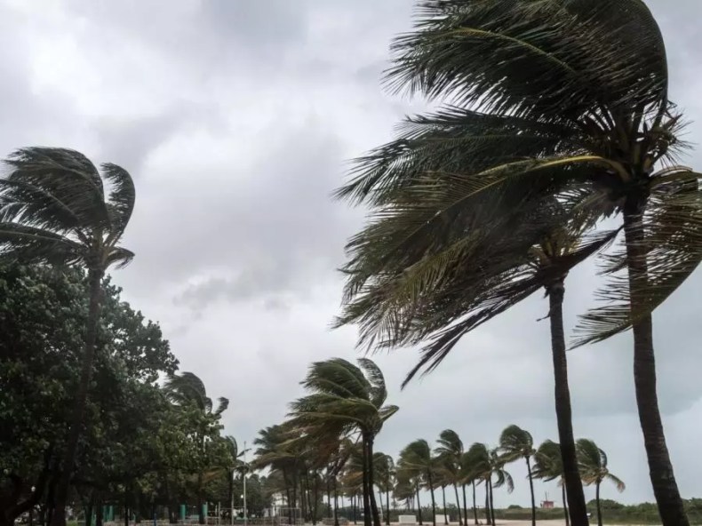 Des vents forts continueront de souffler jusqu’à vendredi sur plusieurs wilayas