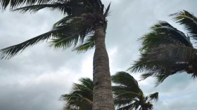 Des vents forts dimanche dans plusieurs wilayas du Sud