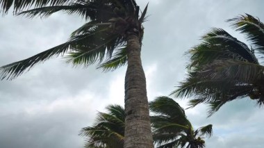 Des vents forts dimanche dans plusieurs wilayas du Sud