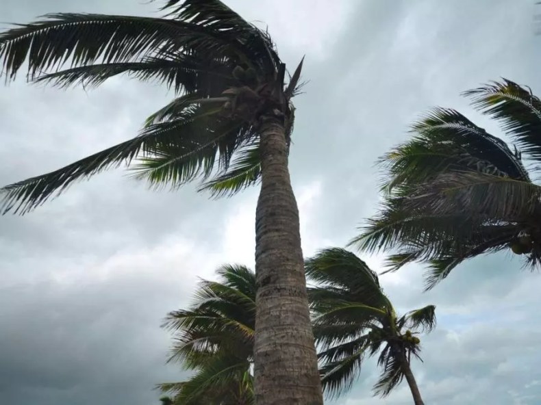 Des vents forts dimanche dans plusieurs wilayas du Sud