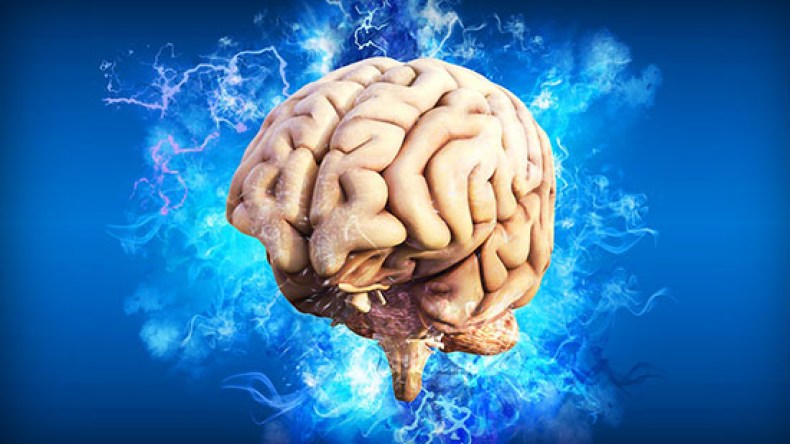 اكتشف 8 أسرار صادمة عن الدماغ!