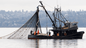 “خطوة استراتيجية للجزائر لتوسيع نشاط الصيد في أعالي البحار”