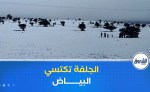 الأمطار والثلوج المتساقطة بولاية الجلفة تحيي الأراضي الزراعية وسط تفاؤل بموسم فلاحي واعد