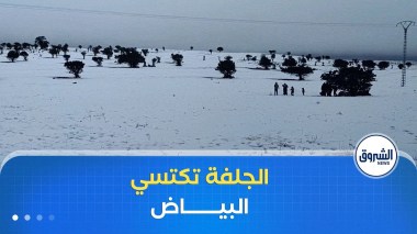 الأمطار والثلوج المتساقطة بولاية الجلفة تحيي الأراضي الزراعية وسط تفاؤل بموسم فلاحي واعد