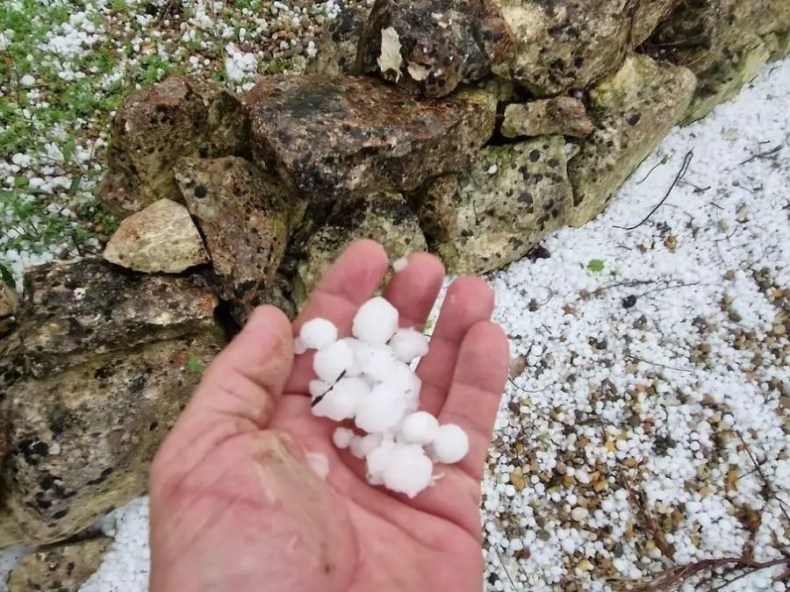 Pluies orageuses et chutes de grêle mardi et mercredi sur plusieurs wilayas
