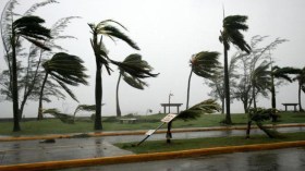 الجزائر تشهد شبه إعصار وحالة جوية غير مألوفة