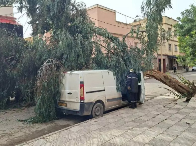 Vents violents: Plusieurs interventions de la Protection civile, aucune victime à déplorer