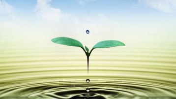 الحياة رحلة قصيرة