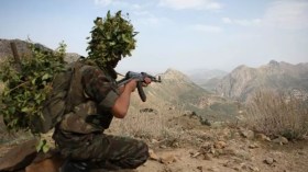 Mise en échec de tentatives d’introduction de plus de 3 quintaux de kif traité via les frontières avec le Maroc