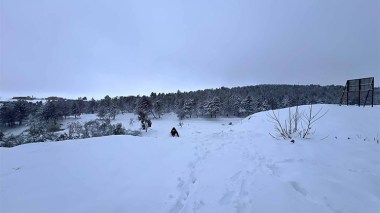أمطار غزيرة وثلوج كثيفة على هذه الولايات