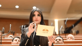 ما قصة النائبة “الحسناء” التي أثارت ضجة واسعة في مصر؟