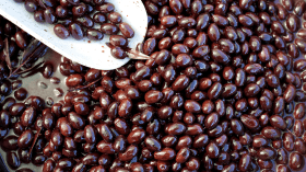 قفزة تاريخية في إنتاج زيتون المائدة هذا الموسم