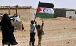 عدة دول إفريقية تجدد دعمها للشعب الصحراوي في تقرير المصير
