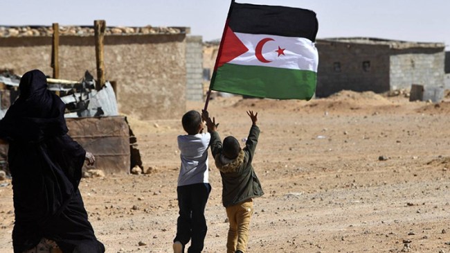 معهد إسباني يدعو للاعتراف باستقلال الصحراء الغربية ومنطقة الريف