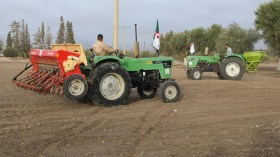 سيدي بلعباس تودّع سبع سنوات من الجفاف والفلاحة تنتعش