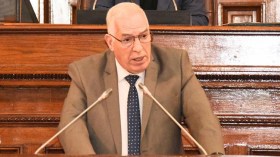 الجزائر متمسكة بحقها السيادي في صون ذاكرتها بكل الوسائل والآليات