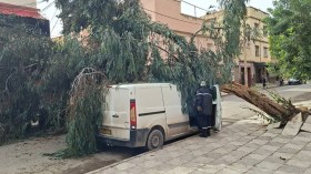 الرياح العاتية تخلف خسائر جسيمة بعدد من الولايات