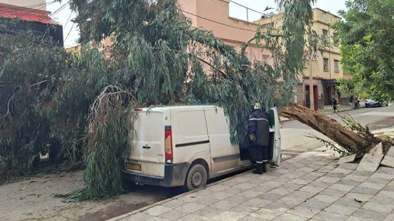 الرياح العاتية تخلف خسائر جسيمة بعدد من الولايات