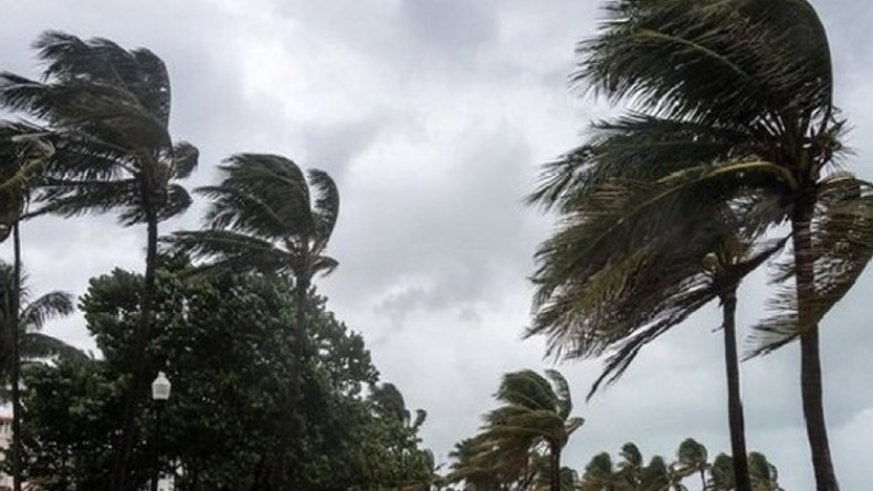 جزائريون يواجهون التحذيرات الجوية بالاستهانة والسخرية