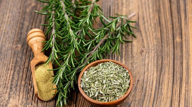 9 فوائد صحية مذهلة لإكليل الجبل يجب أن تعرفها