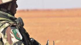 الجيش الوطني الشعبي يسترجع 447 كغ من الكيف المعالج بولاية بشار