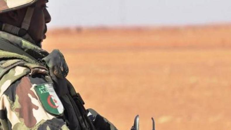 الجيش الوطني الشعبي يسترجع 447 كغ من الكيف المعالج بولاية بشار