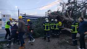 مسؤول بوزارة الداخلية يكشف عدد التدخلات المسجلة بفعل الرياح