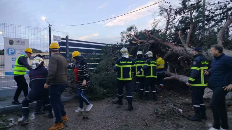 مسؤول بوزارة الداخلية يكشف عدد التدخلات المسجلة بفعل الرياح