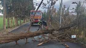 وفاة شخص وإصابة آخرين في حوادث بسبب الرياح