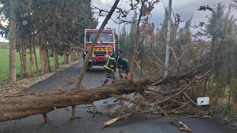 وفاة شخص وإصابة آخرين في حوادث بسبب الرياح