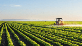 خبراء يؤكّدون أهمية مراجعة قانون التوجيه الفلاحي