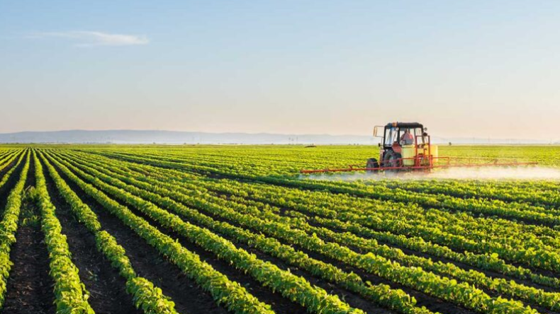 خبراء يؤكّدون أهمية مراجعة قانون التوجيه الفلاحي