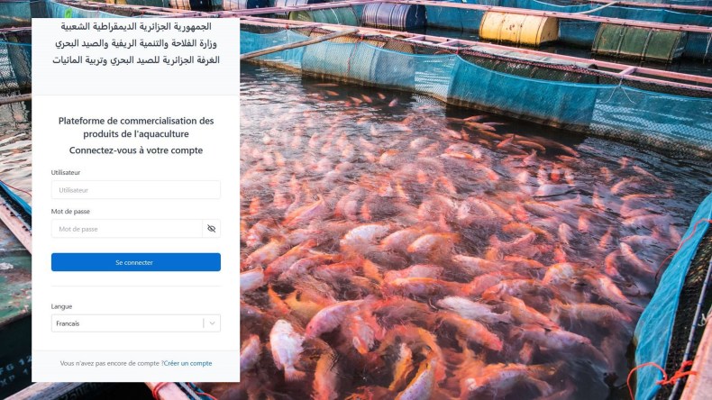 تربية المائيات: منصة رقمية مرتقبة لربط المنتجين بالمحولين ونقاط البيع