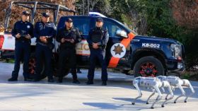 بِالفيديو: كلاب آلية في كأس العالم