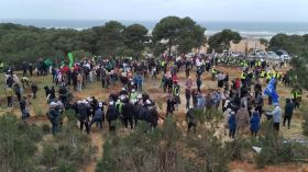 الجزائريّون يُوحّدون الجهود لإنجاح حملة “5 ملايين شجرة”