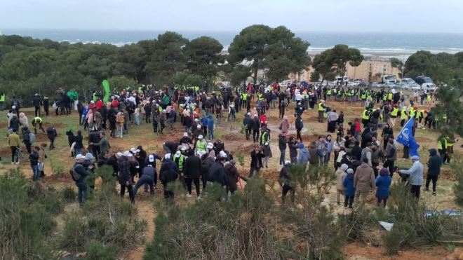 الجزائريّون يُوحّدون الجهود لإنجاح حملة “5 ملايين شجرة”