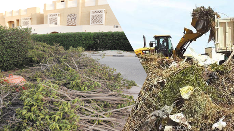 كيف يُمكن تحويل مُخلفات تقليم الأشجار والحشائش إلى عائد اقتصادي؟