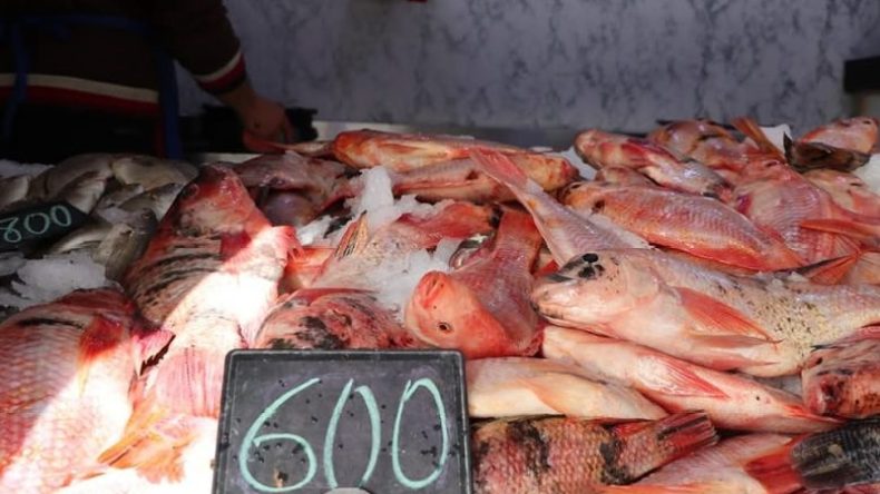 البلطي الأحمر بسعر 600 دينار للكيلوغرام في رمضان